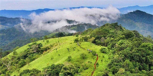 Cùng Cơm niêu Phan Thiết khám phá cung đường trekking Tà Năng, Phan Dũng