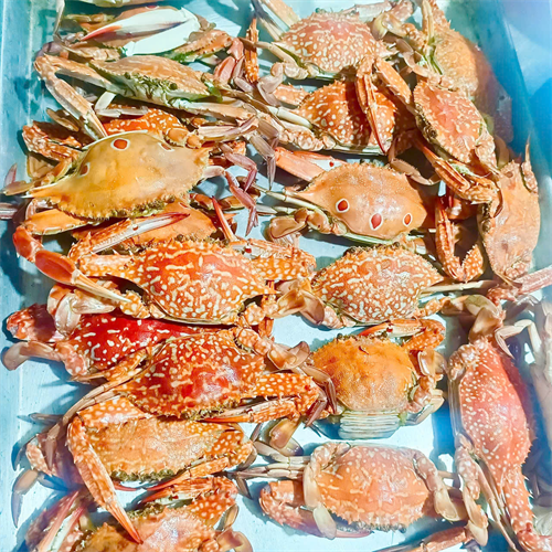 Ăn hải sản ở Phan Thiết – Ngon, tươi, mà giá cực ‘mềm’!